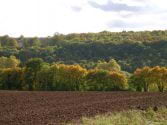 campagne de Bretteville