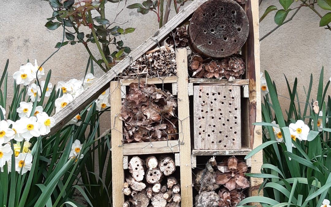 Recyclons en construisant une maison à insectes !