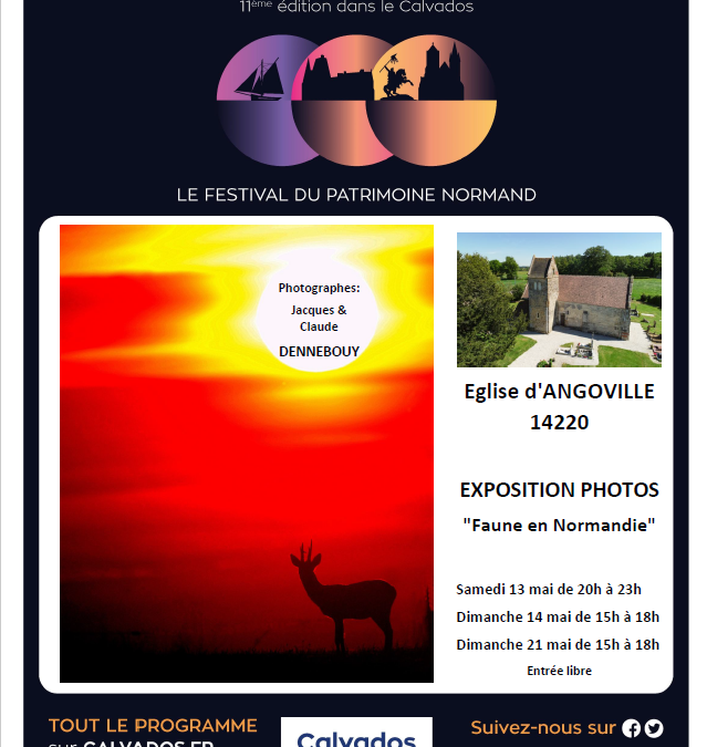 “Pierres en Lumières” à Angoville