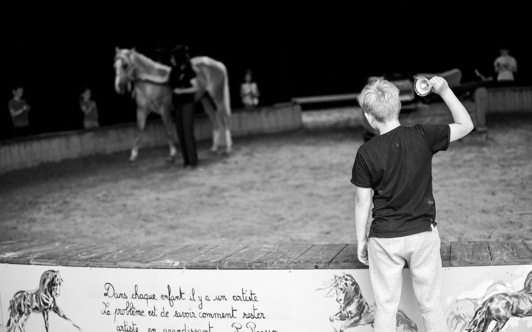 Les Equid’écoles du 10 au 28 juin 2024 au Théâtre équestre de La Pommeraye