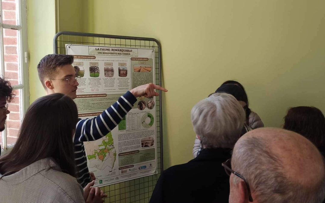 Retour en images : restitution du travail des étudiants en licence proessionnelle