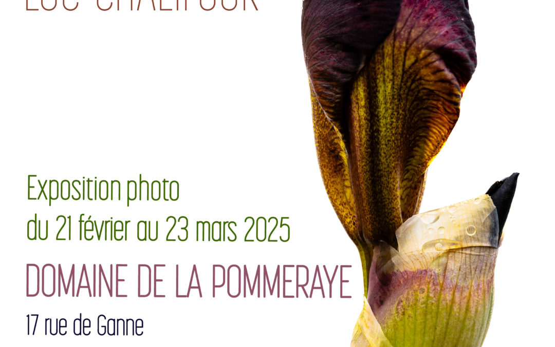 Exposition photo « Fleurs » de Luc Chalifour au Domaine de La Pommeraye