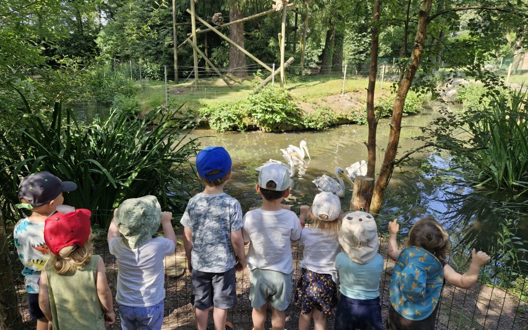 Retour en images sur la sortie de fin d’année des 2 Relais Petite Enfance au Zoo de Jurques