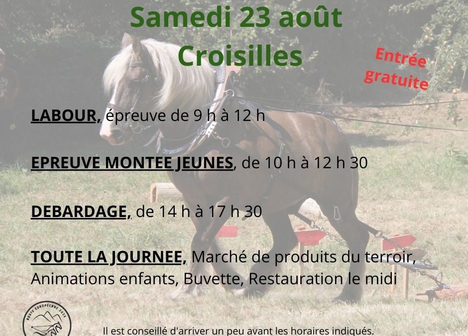 Journées européennes du cheval de trait : programme du samedi 23 et dimanche 24 août