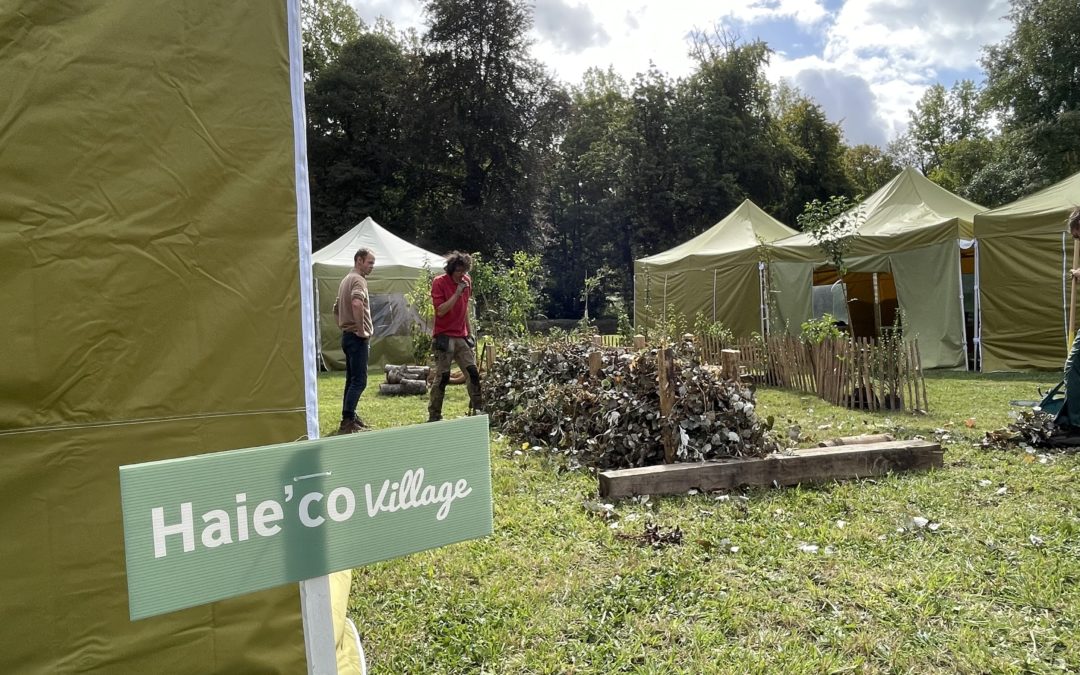 Arbres & Cie, ça approche !