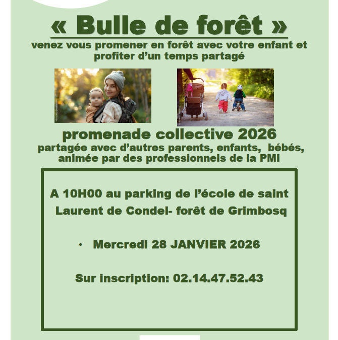 La Maison Départementale des Solidarités propose une promenade collective en forêt le 28 janvier 2026