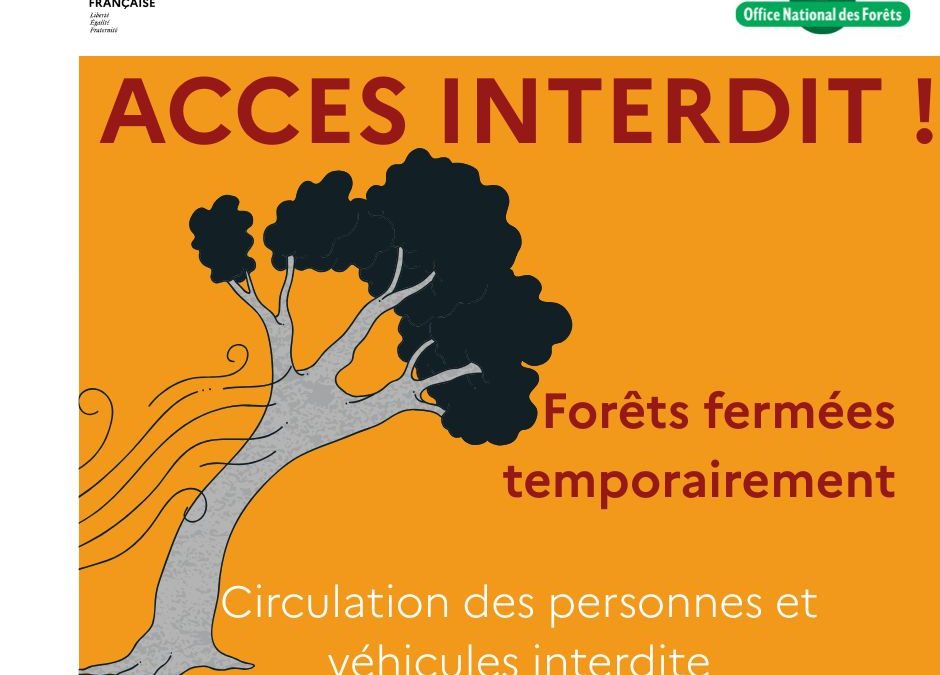 Où en est-on dans les forêts publiques Normandes après le passage de Goretti ?