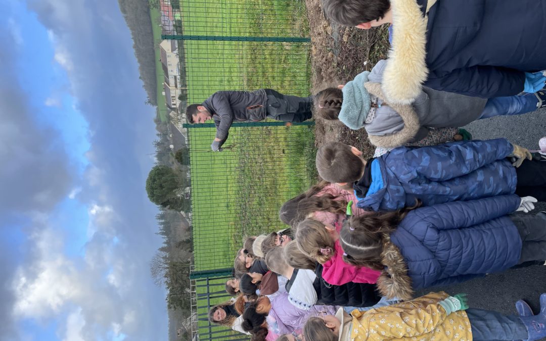 Sensibilisation aux haies bocagères : les élèves de quatre écoles mobilisés – retour en images