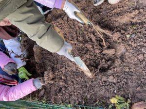 Sensibilisation aux haies bocagères : les élèves de quatre écoles mobilisés – retour en images