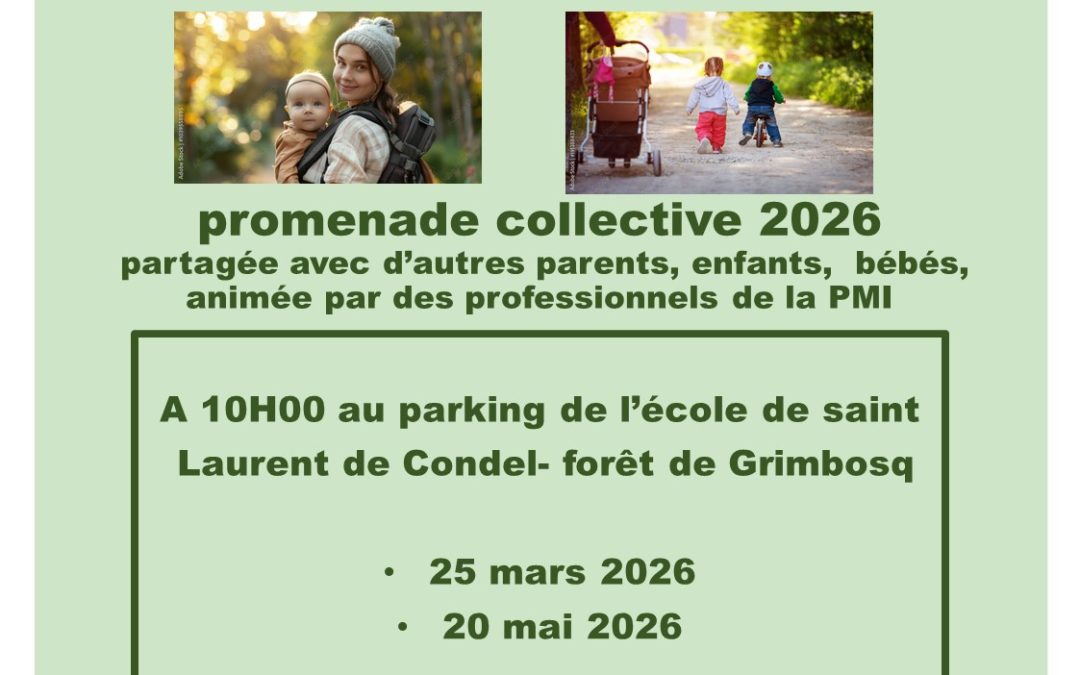 La Maison Départementale des Solidarités propose des promenades collectives en forêt