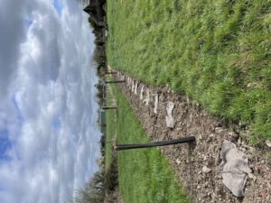 Une haie expérimentale pour préparer le bocage de demain !