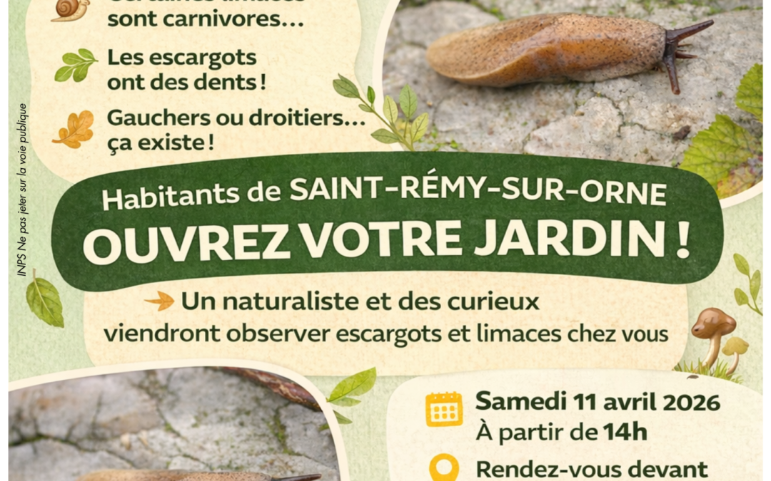 Sortie Nature le samedi 11 avril à Saint-Rémy-sur-Orne