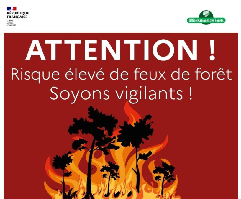 Forêts de Normandie : risque sévère d’incendie