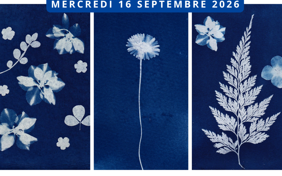 Atelier cyanotype le mercredi 16 septembre à Bretteville-sur-Laize