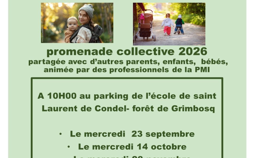 La Maison Départementale des Solidarités propose des promenades collectives en forêt