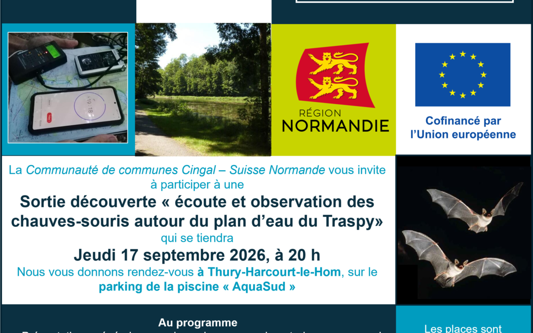 Sortie découverte “Ecoute et observation des chauves-souris” le 17 septembre